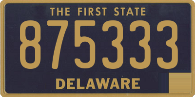 DE license plate 875333