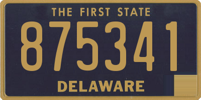 DE license plate 875341