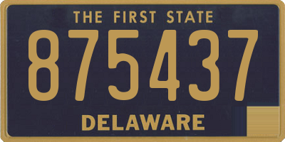 DE license plate 875437