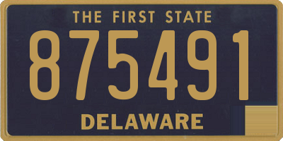 DE license plate 875491