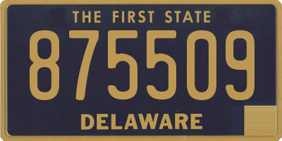 DE license plate 875509