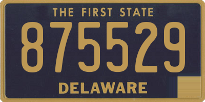 DE license plate 875529