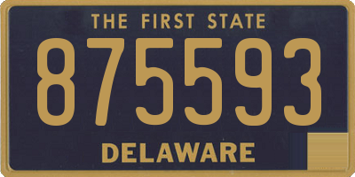 DE license plate 875593