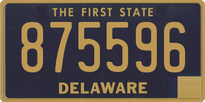 DE license plate 875596