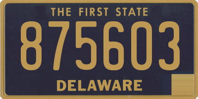 DE license plate 875603