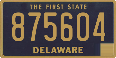 DE license plate 875604