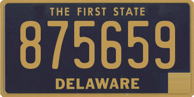 DE license plate 875659