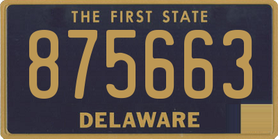 DE license plate 875663