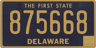 DE license plate 875668