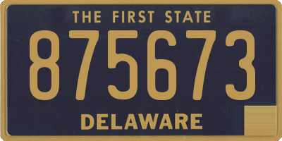 DE license plate 875673