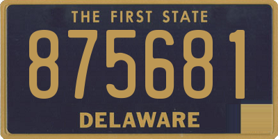 DE license plate 875681