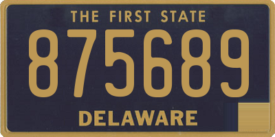 DE license plate 875689
