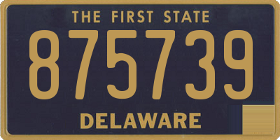 DE license plate 875739
