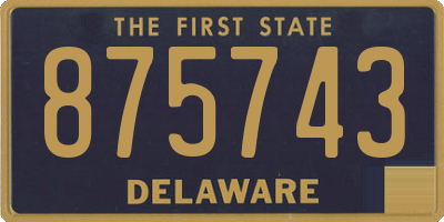DE license plate 875743