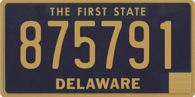 DE license plate 875791