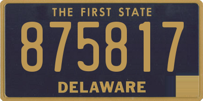 DE license plate 875817