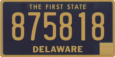 DE license plate 875818
