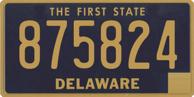 DE license plate 875824