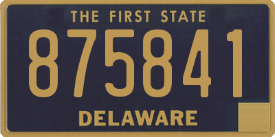 DE license plate 875841