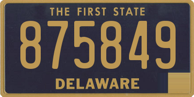DE license plate 875849