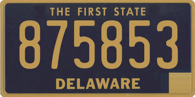 DE license plate 875853