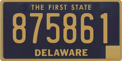 DE license plate 875861