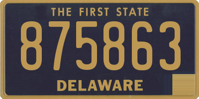 DE license plate 875863