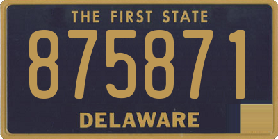 DE license plate 875871