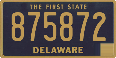 DE license plate 875872