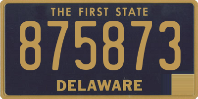 DE license plate 875873