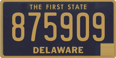 DE license plate 875909