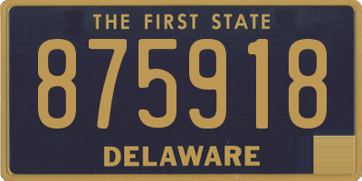 DE license plate 875918