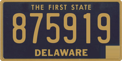 DE license plate 875919