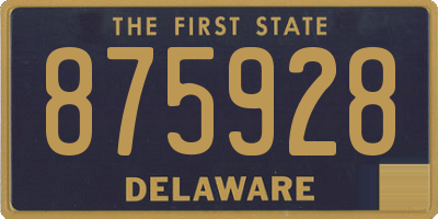DE license plate 875928