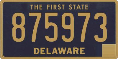 DE license plate 875973