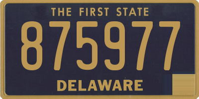 DE license plate 875977