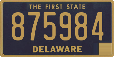 DE license plate 875984