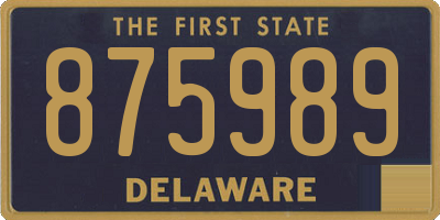 DE license plate 875989