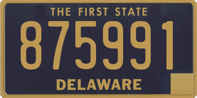 DE license plate 875991