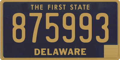 DE license plate 875993