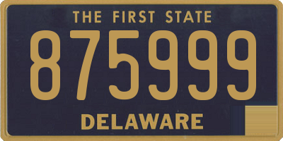 DE license plate 875999