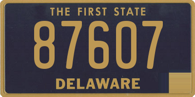 DE license plate 87607