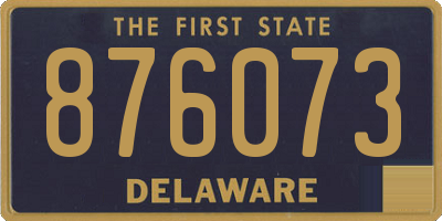 DE license plate 876073