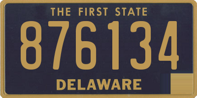 DE license plate 876134