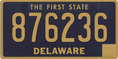 DE license plate 876236