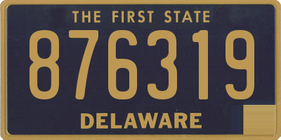 DE license plate 876319