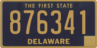 DE license plate 876341