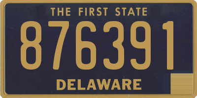 DE license plate 876391