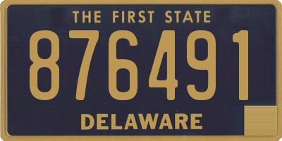 DE license plate 876491