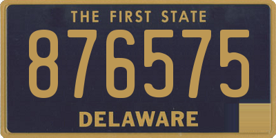DE license plate 876575
